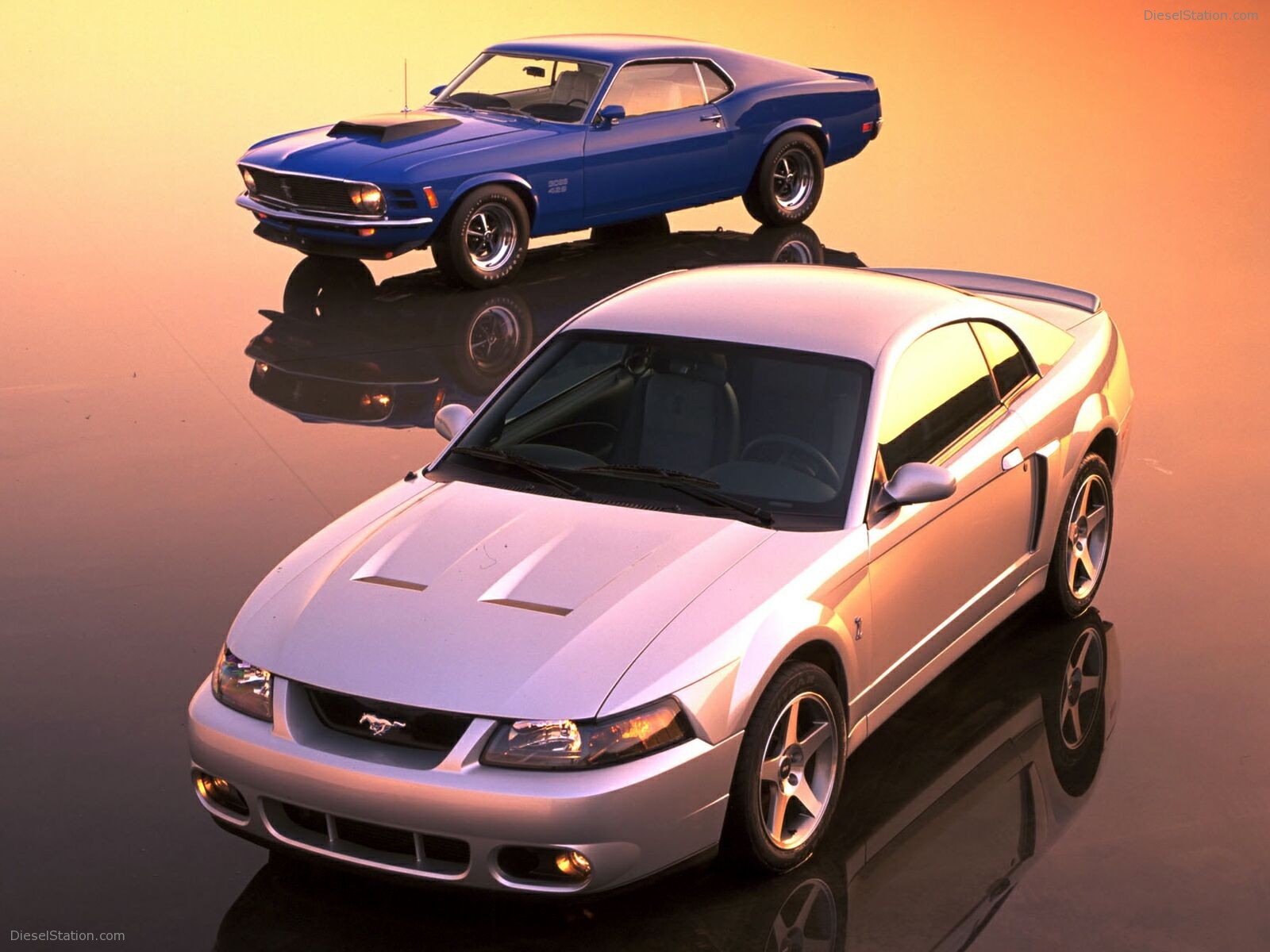 Ford Mustang Cobra (2003)